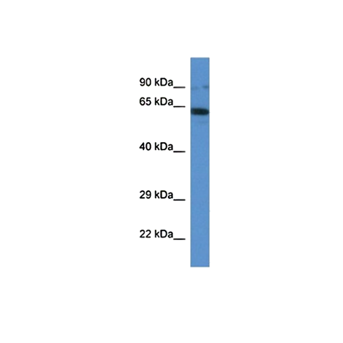 /Content/Upload/Product/MKA1374AF_fig1_1200.png