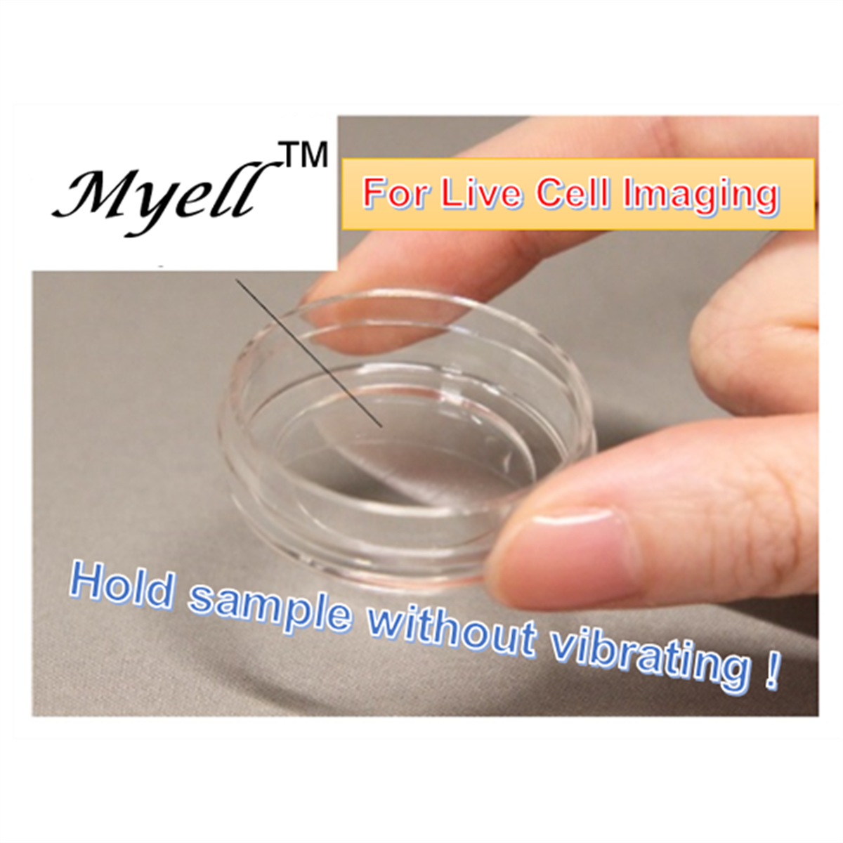 /Content/Upload/Product/Myell-1_1200_1200_2.png
