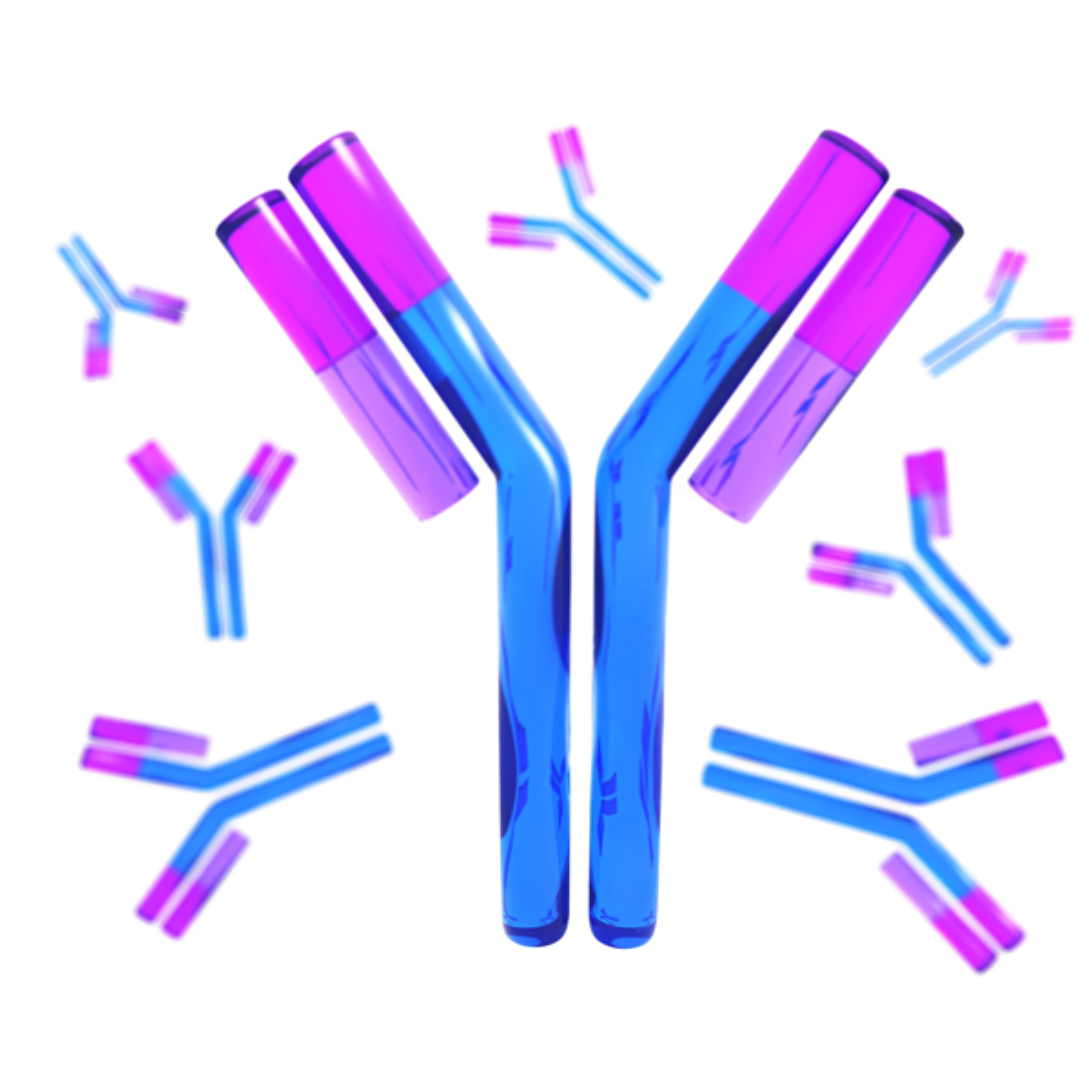 /Content/Upload/Product/NoImageAntibody_1200_35.png