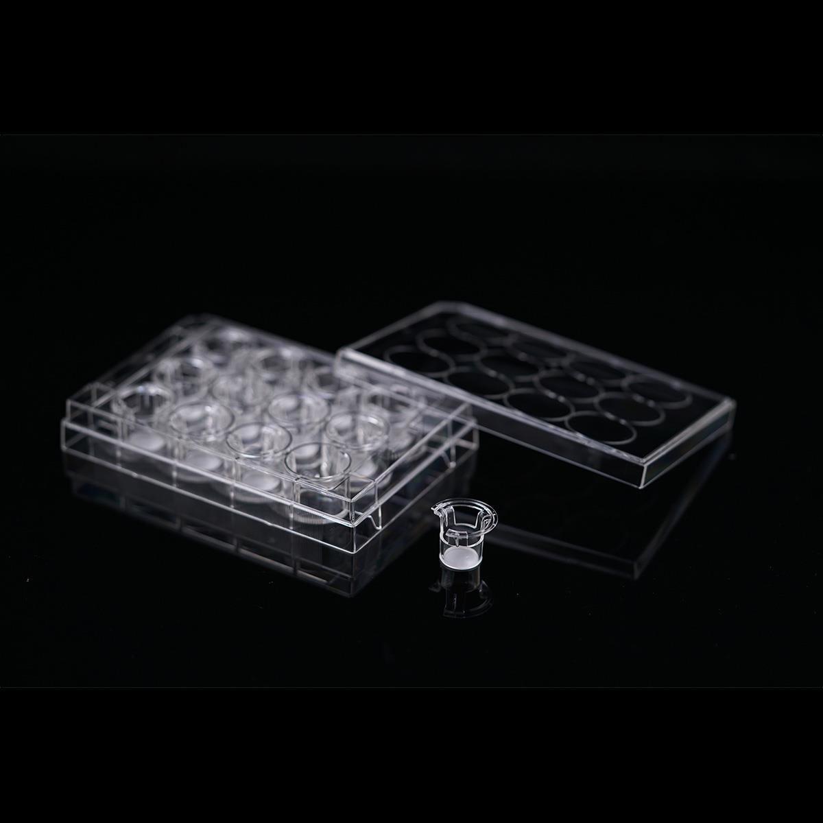 /Content/Upload/Product/Opaque-12-well-plate-12-insert-1μm-PET-membrane-724421-724431-Diagnocine_1200_1.jpg