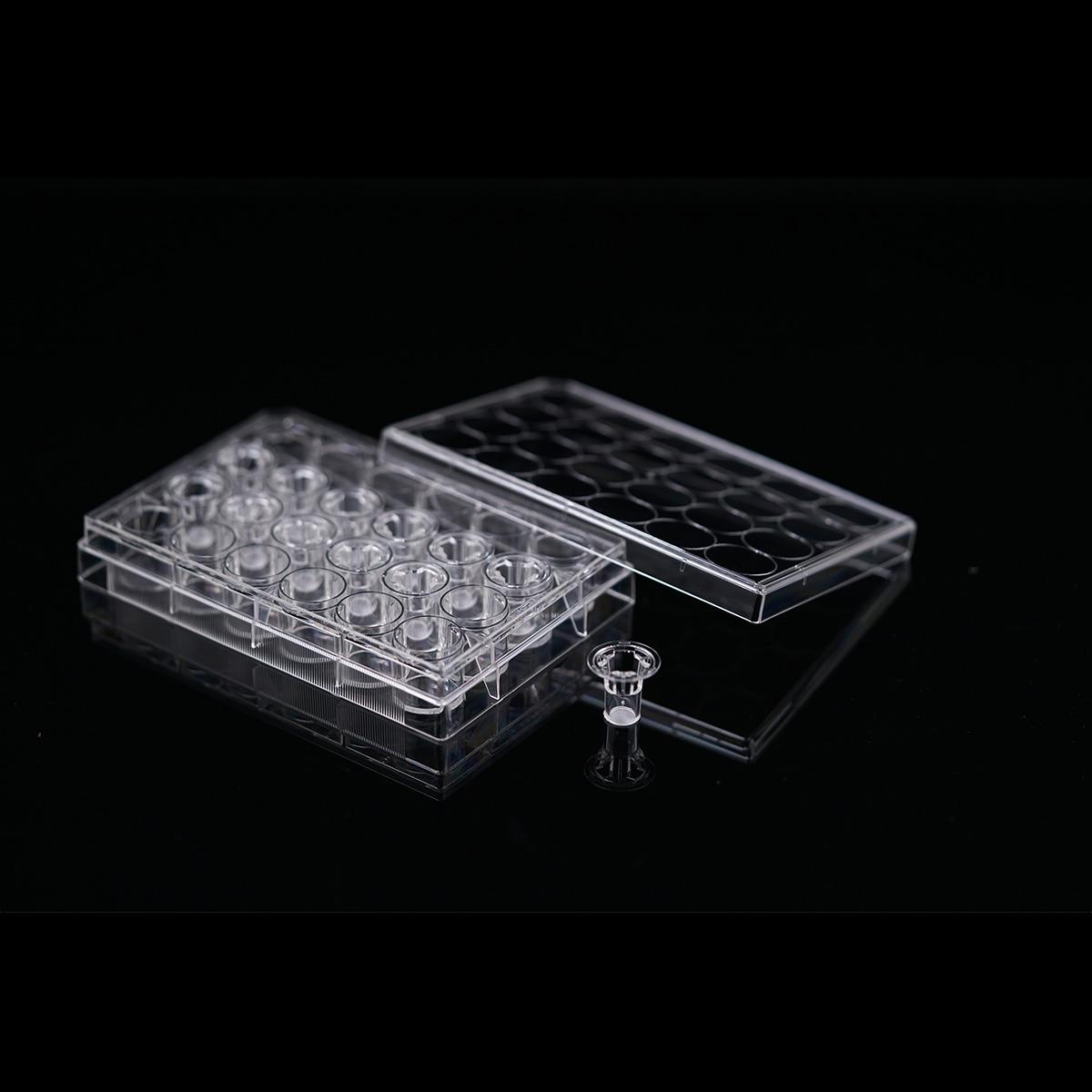 /Content/Upload/Product/Opaque-24-well-plate-12-insert-1μm-PET-membrane-725421-725431-Diagnocine_1200_1.jpg