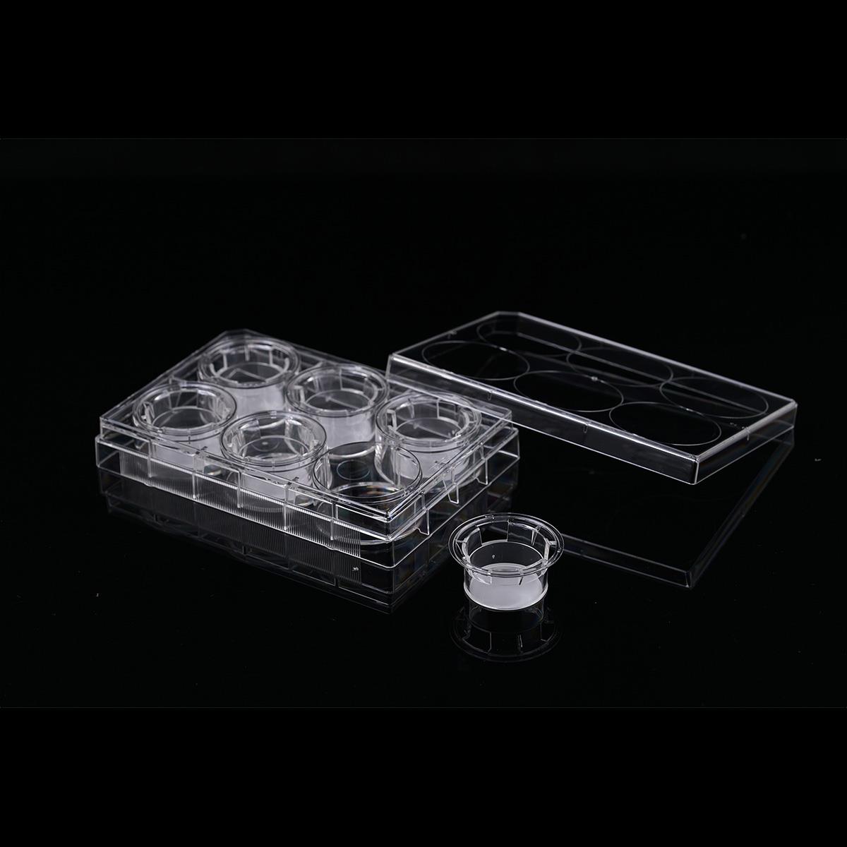 /Content/Upload/Product/Opaque-6-well-plate-6-insert-1μm-PET-membrane-723421-723431-Diagnocine_1200.jpg
