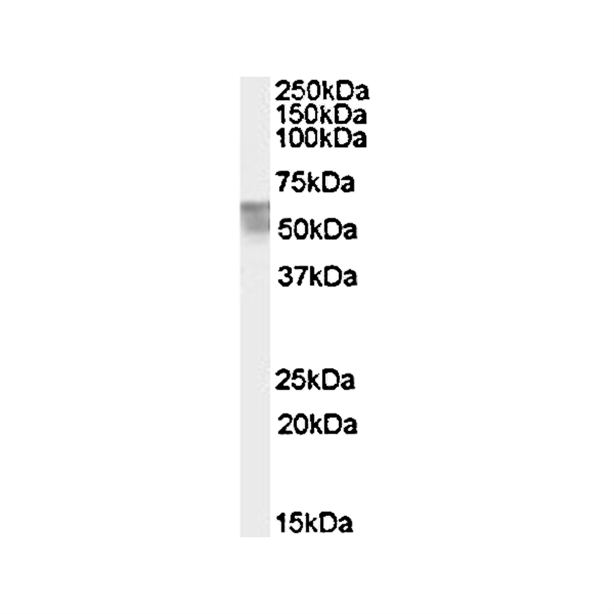 /Content/Upload/Product/PP-A8740A-00_1200.png