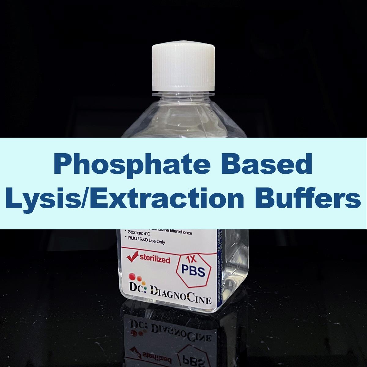 /Content/Upload/Product/Phosphate-Based-Lysis-Extraction-Buffers-1200_1200.jpg