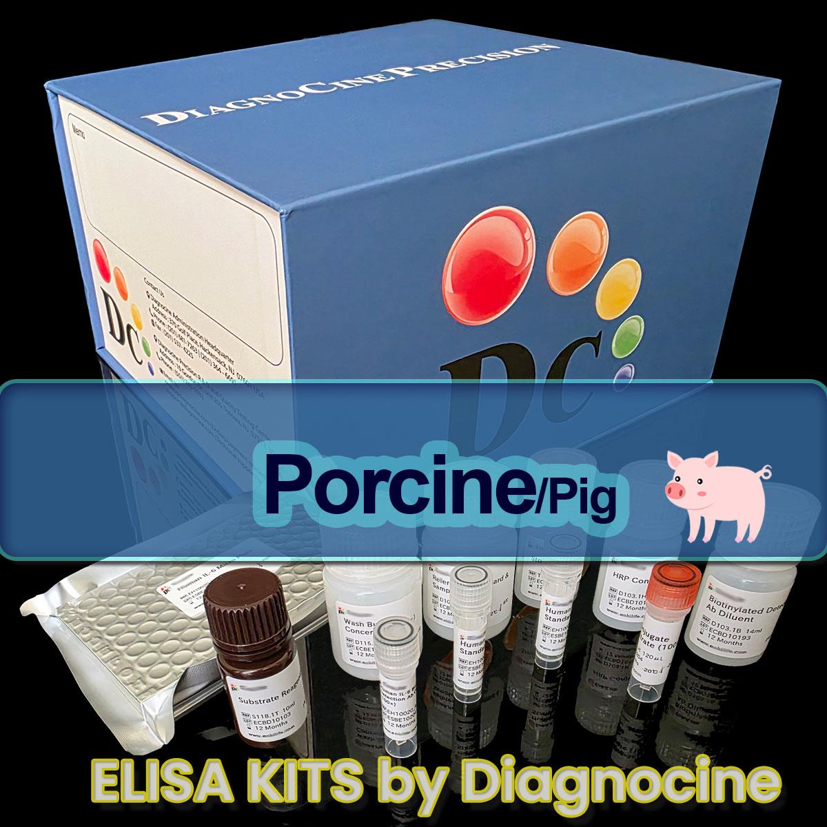 /Content/Upload/Product/Pig_ELISA_kits_Diagnocine_1200(13).jpg