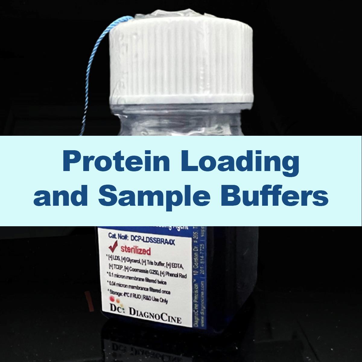 /Content/Upload/Product/Protein-Loading-Sample-Buffers-1200_1200.jpg