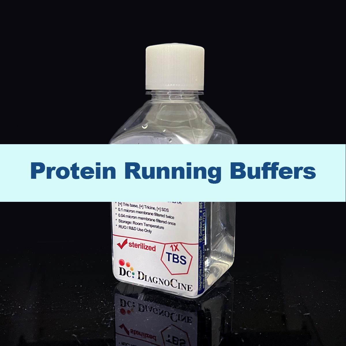 /Content/Upload/Product/Protein-Running-Buffers-1200_1200.jpg
