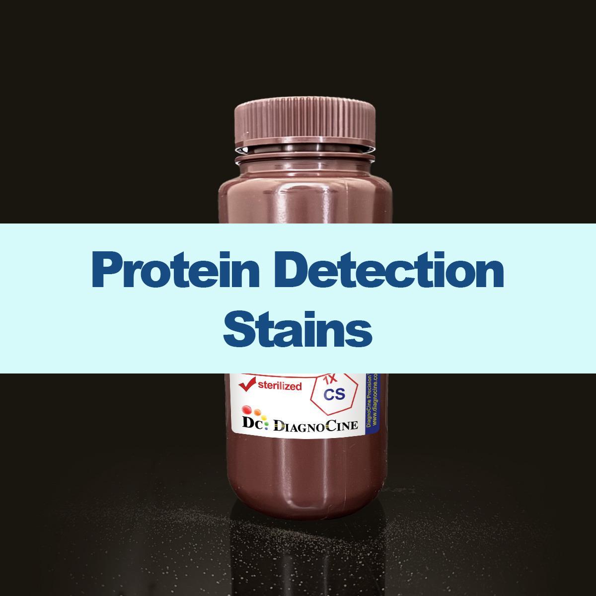/Content/Upload/Product/ProteinDetectionStains_1200.jpg