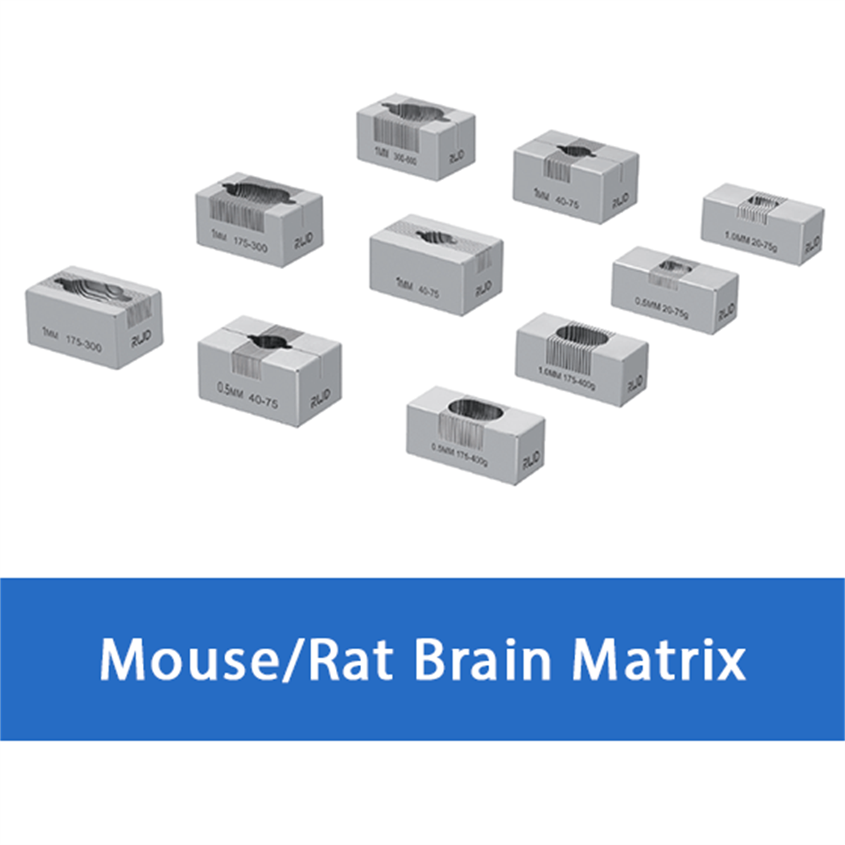 /Content/Upload/Product/RWD-Brain-Matrices-diagnocine_1200.png