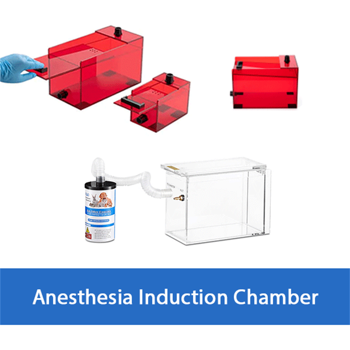 /Content/Upload/Product/RWD-Induction-Chamber-diagnocine_1200.png