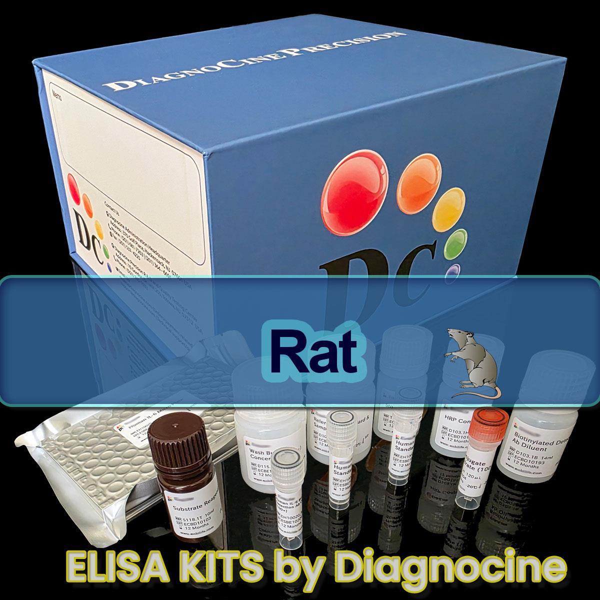 /Content/Upload/Product/Rat_ELISA_kits_Diagnocine_1200_1200(47).jpg