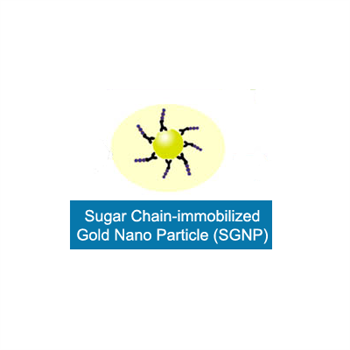 /Content/Upload/Product/SGNP-2_1200_2.png