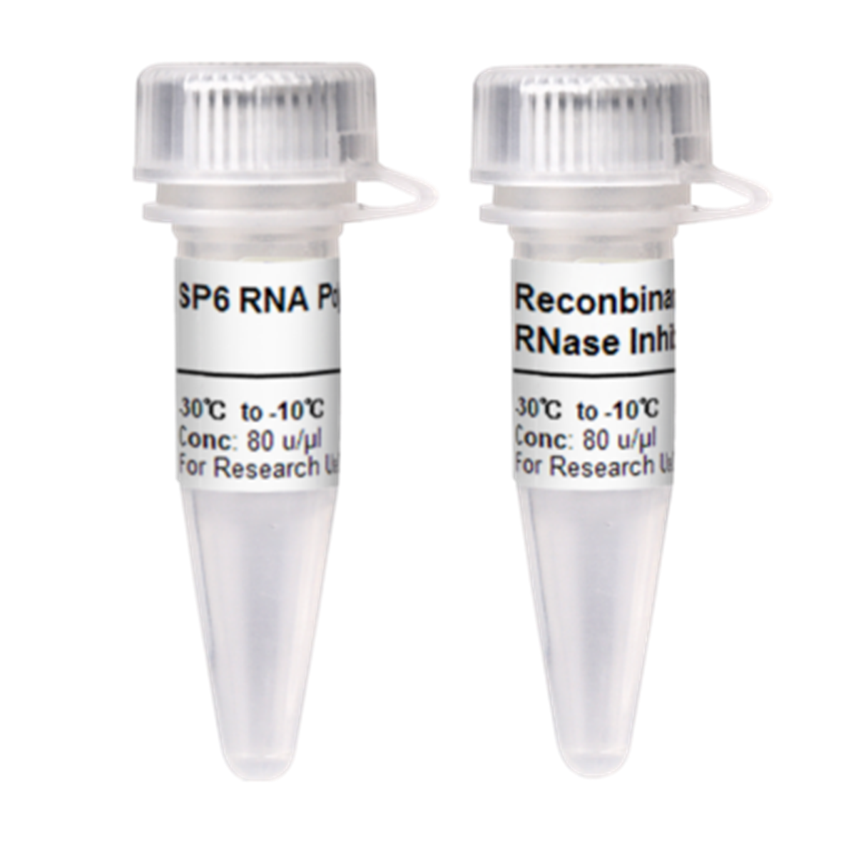 /Content/Upload/Product/SP6-RNase-3_1200.png