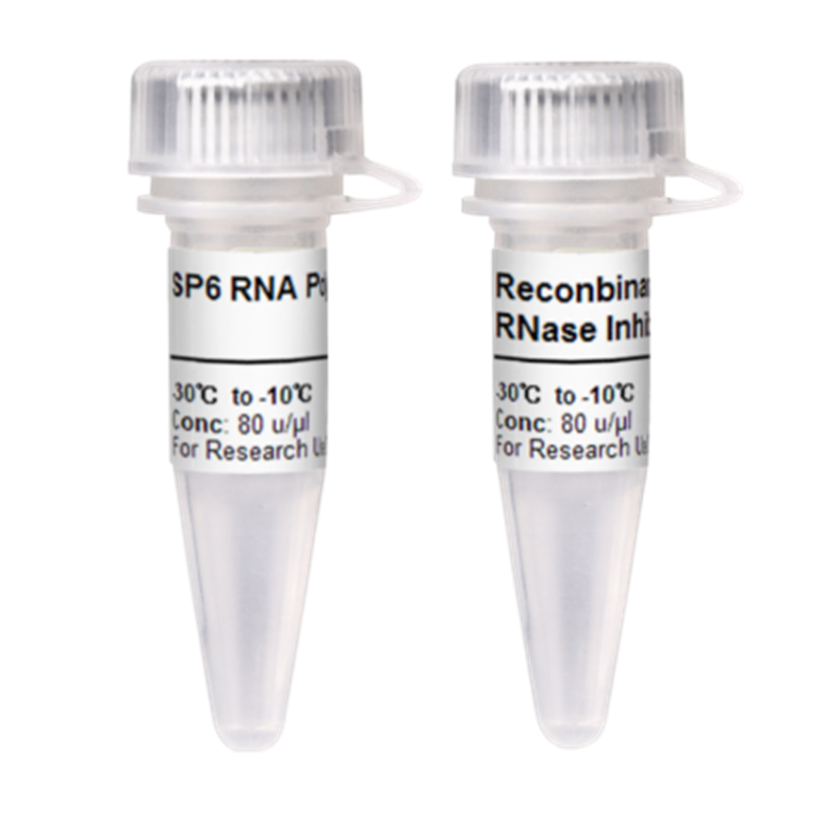 /Content/Upload/Product/SP6-RNase-3_1200_1_1200.png