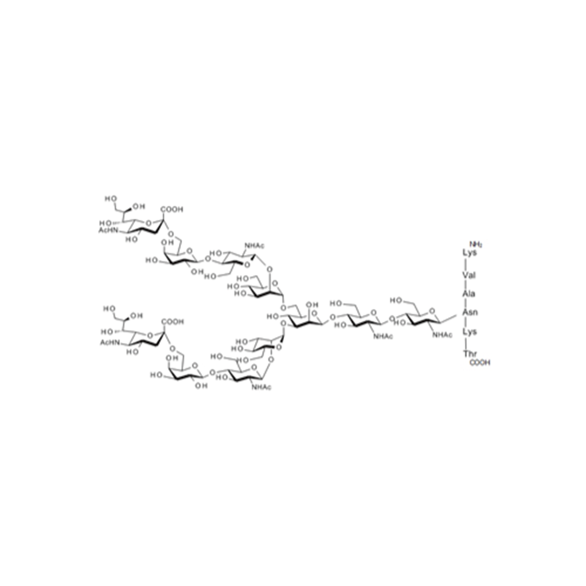 /Content/Upload/Product/Sialylglycopeptide-1_1200.png