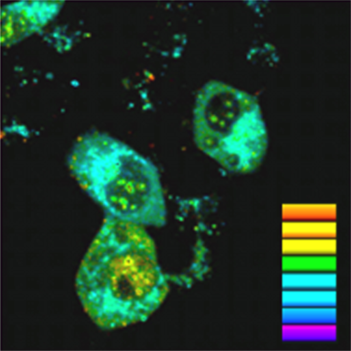 /Content/Upload/Product/Thermoproproble_600x600xDiagnocine_1200_1_1200_1.png