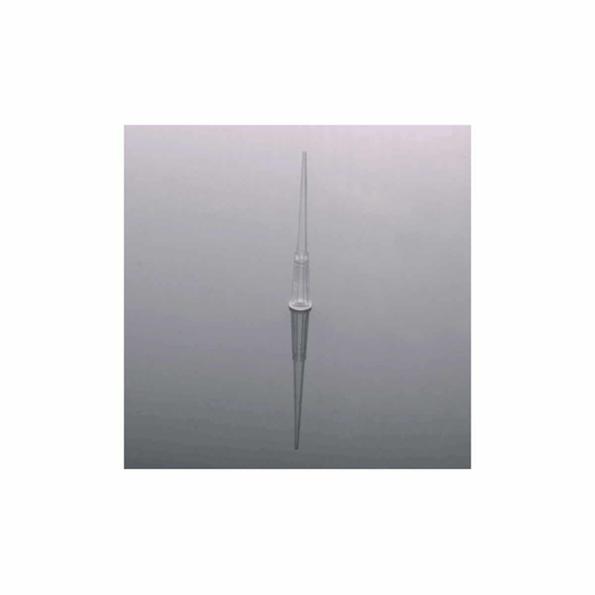 /Content/Upload/Product/UniversalPipetteTips300-μl_305052_W600_Diagnocine_1200.png