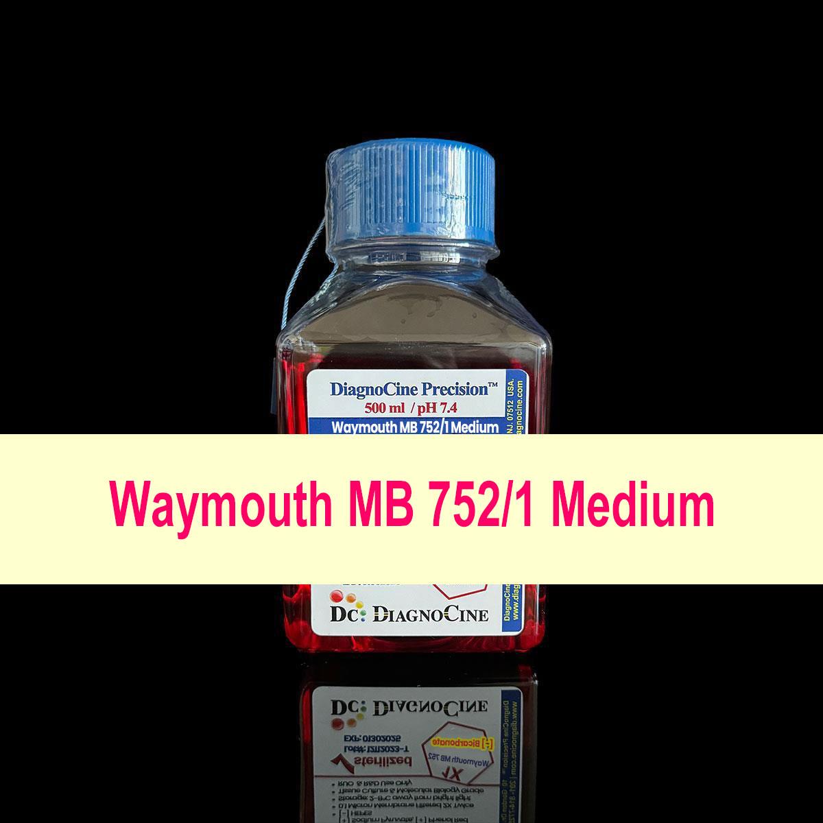 /Content/Upload/Product/Waymouth-MB-752_1-Medium_Group-w1200_Diagnocine_1200.jpg