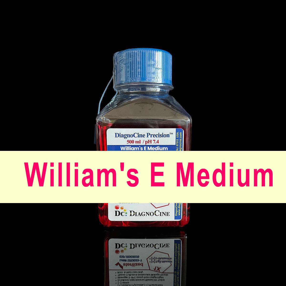 /Content/Upload/Product/Williams-E-Medium_Group_w1200_Diagnocine_1200.jpg