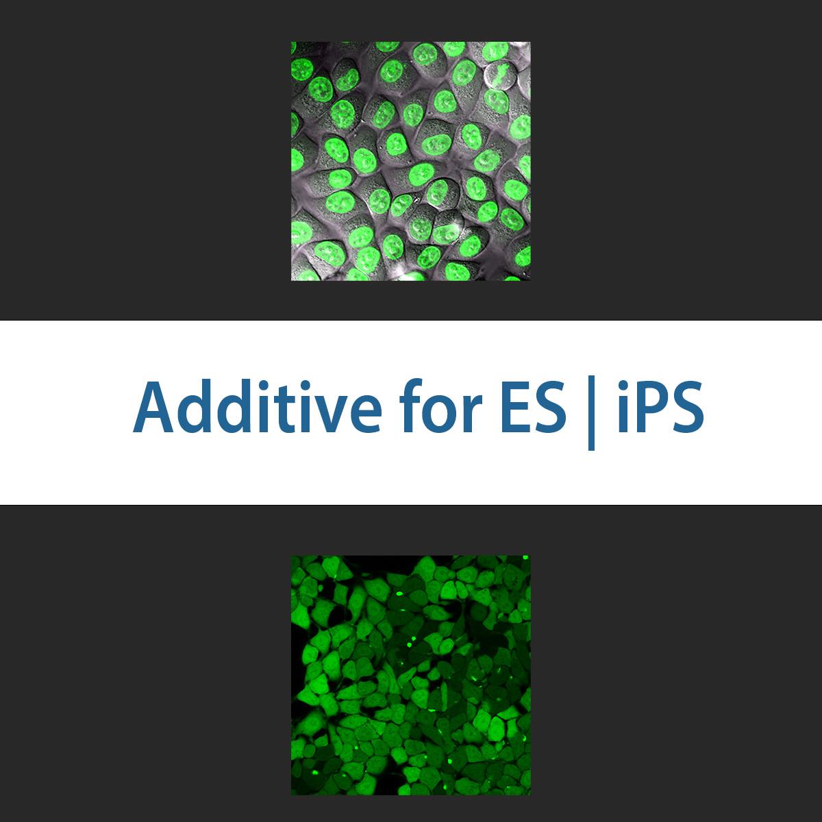 /Content/Upload/Product/additiveforesips_1200.jpg