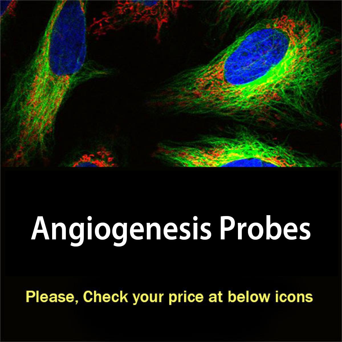 /Content/Upload/Product/angiogenesisprobes_1200.jpg