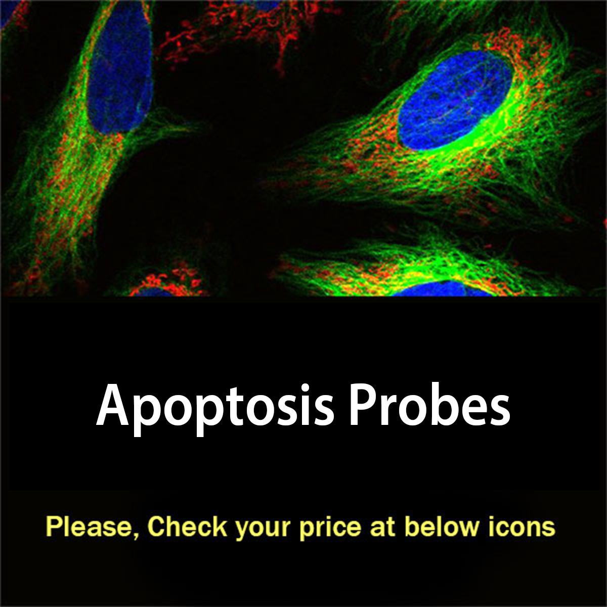 /Content/Upload/Product/apoptosisprobes_1200.jpg