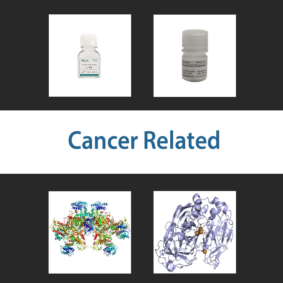 /Content/Upload/Product/cancerrelated_1200.jpg