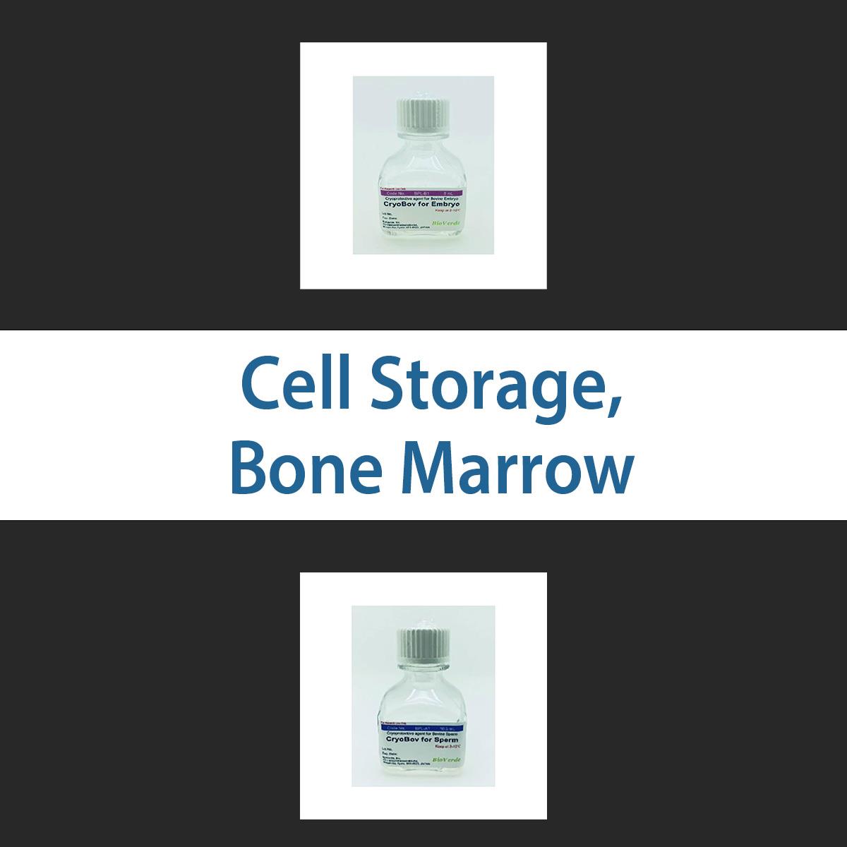 /Content/Upload/Product/cellstoragebonemarrow_1200.jpg