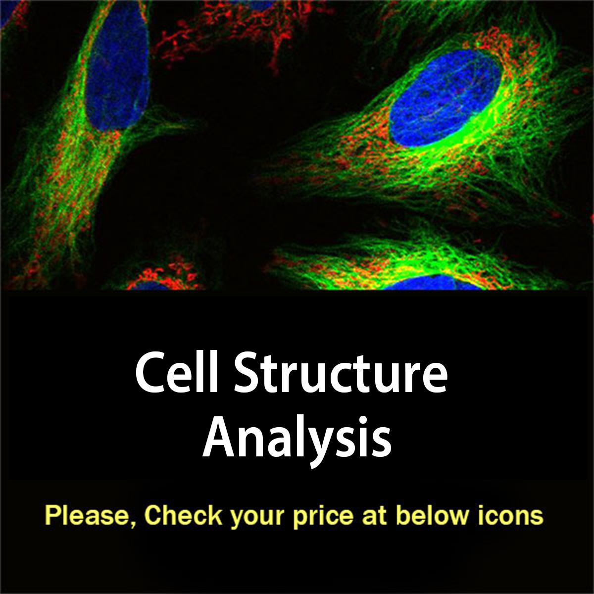 /Content/Upload/Product/cellstructureanalysis_1200.jpg