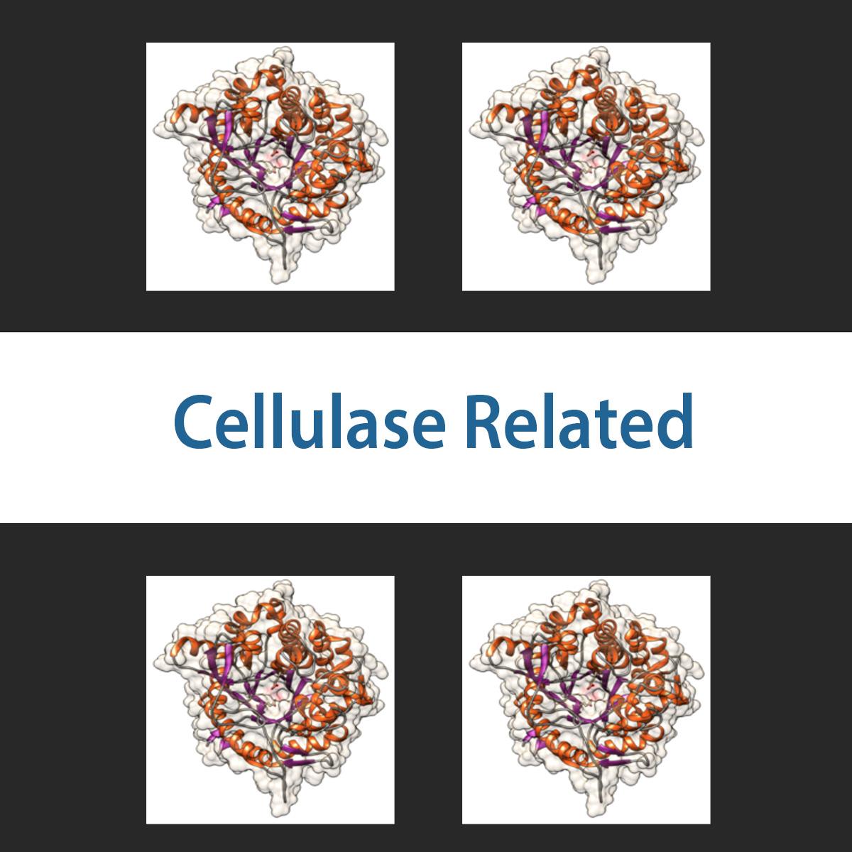 /Content/Upload/Product/cellulaserelated_1200.jpg