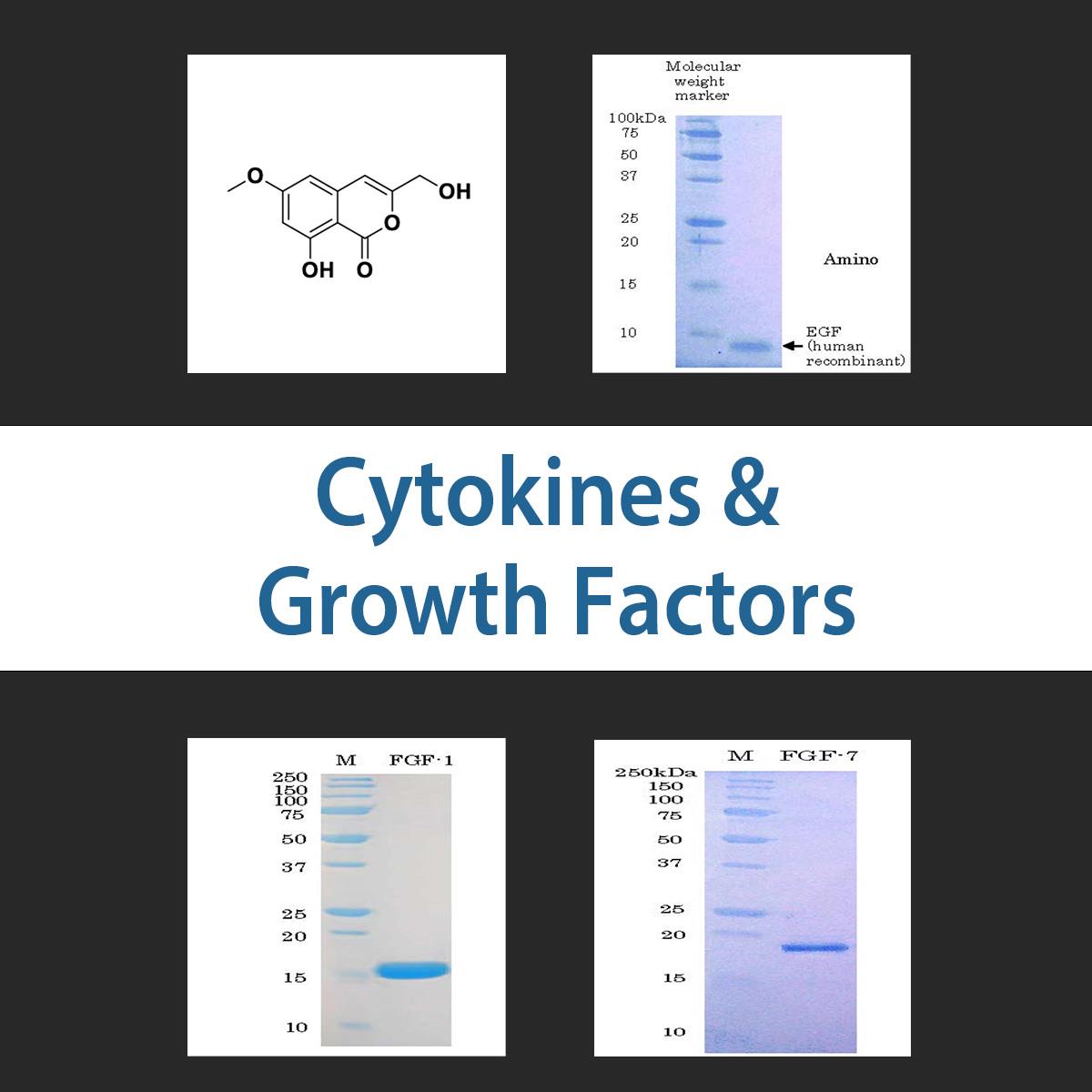 /Content/Upload/Product/cytokinesgrowthfactors_1200.jpg