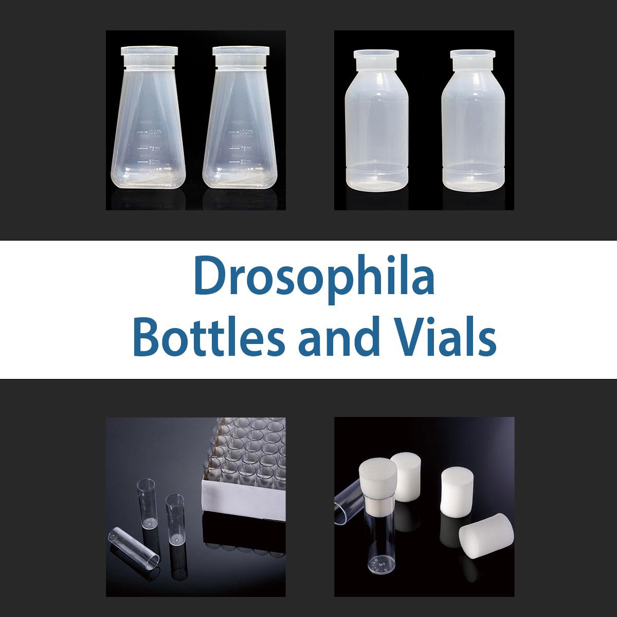 /Content/Upload/Product/drosophilia2_1200.jpg