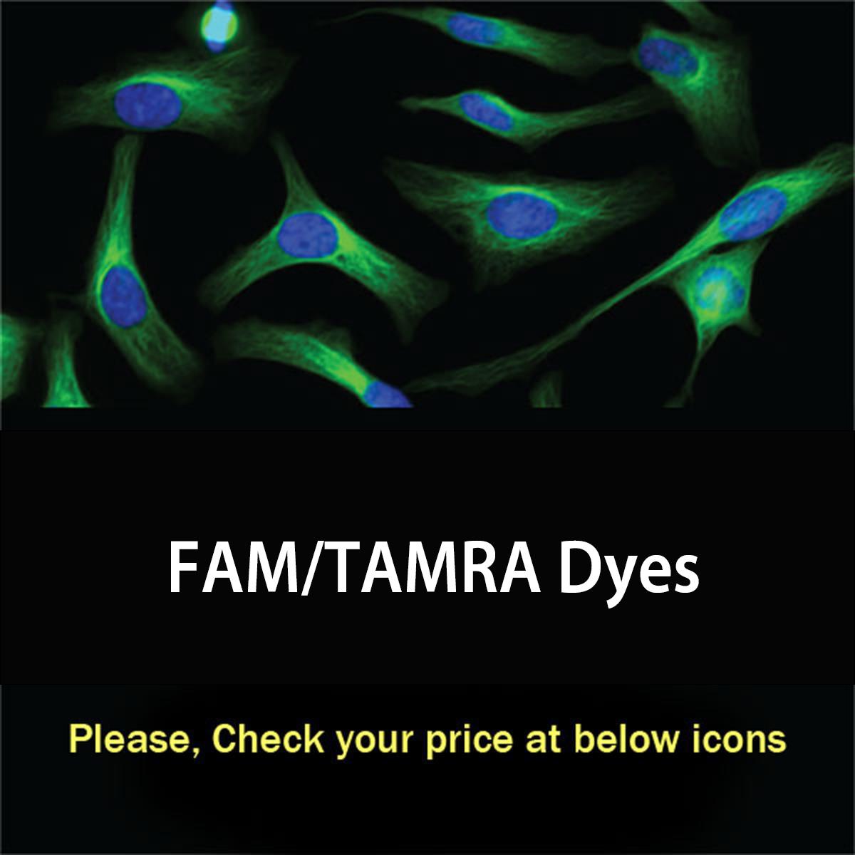 /Content/Upload/Product/famtamradyes_1200.jpg