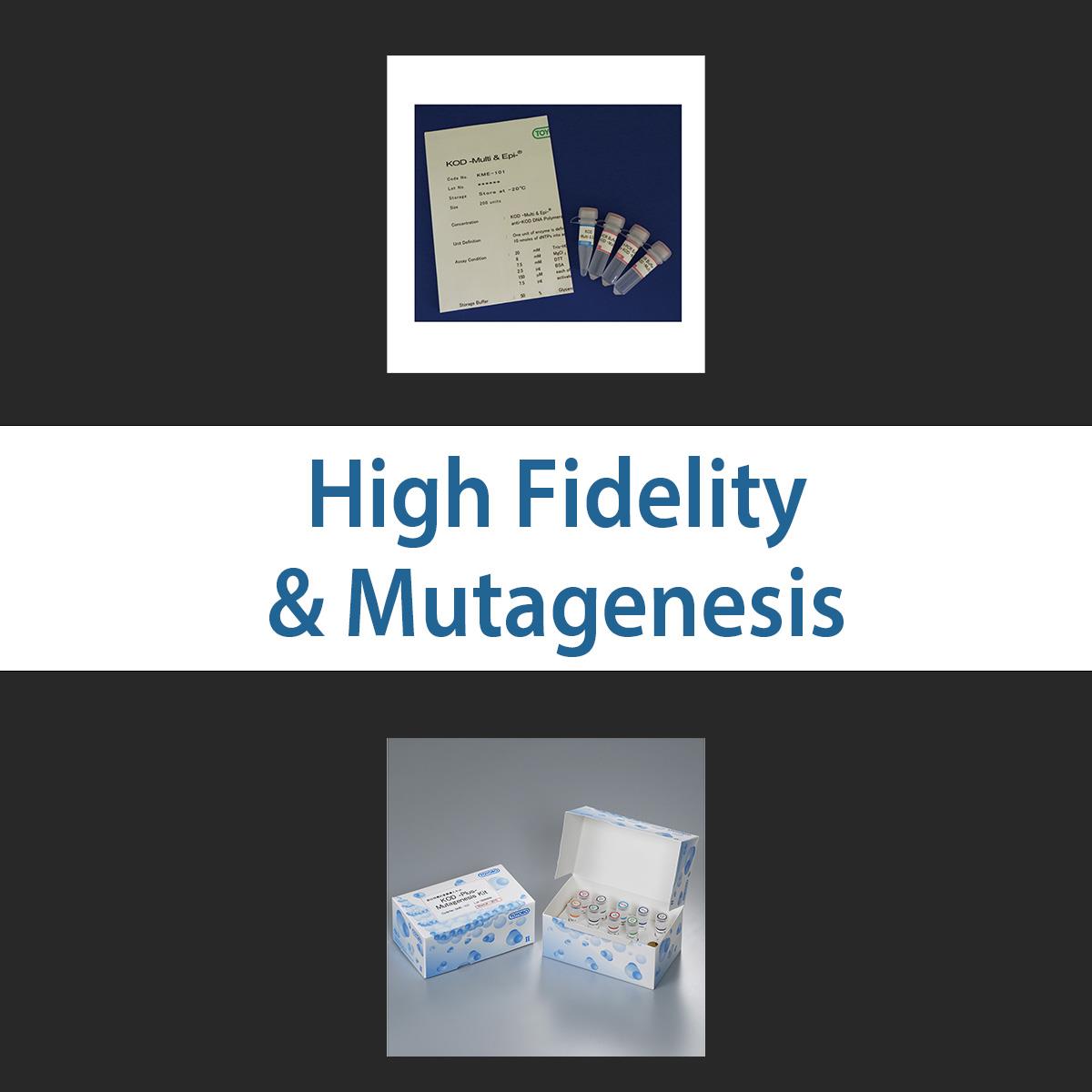 /Content/Upload/Product/highfidelitymutagenesis_1200.jpg