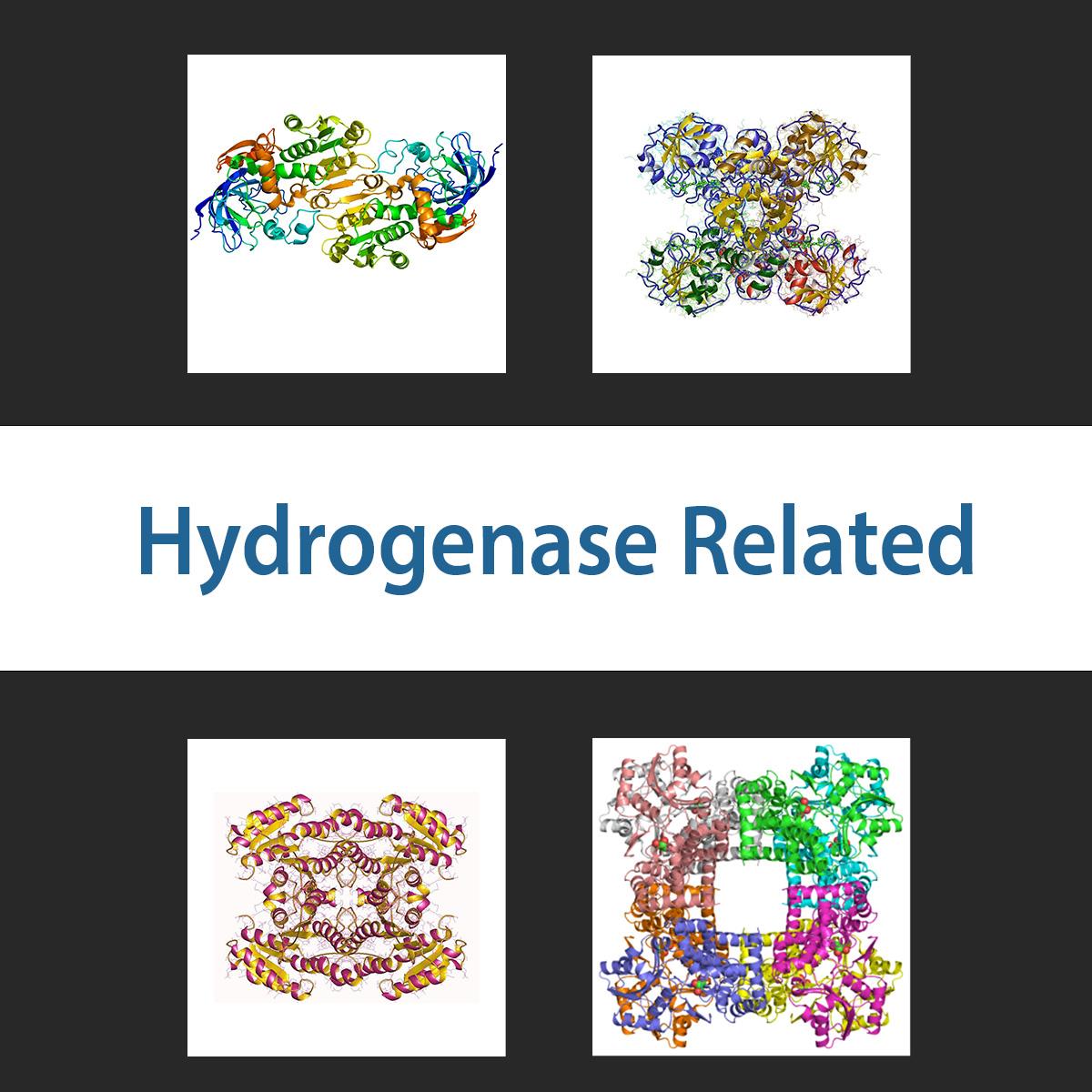/Content/Upload/Product/hyrdogenaserelated_1200.jpg