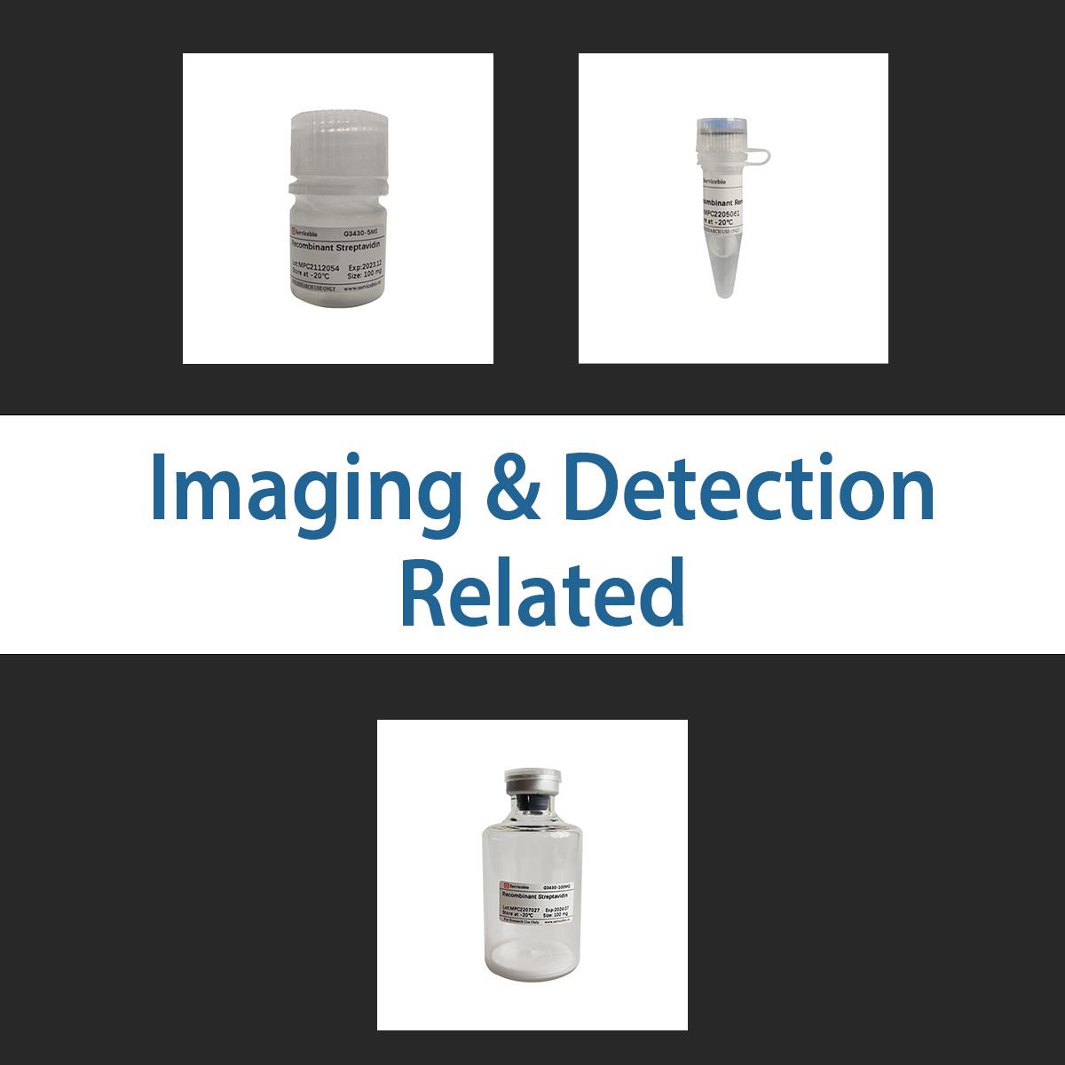 /Content/Upload/Product/imagingdetection_1200.jpg