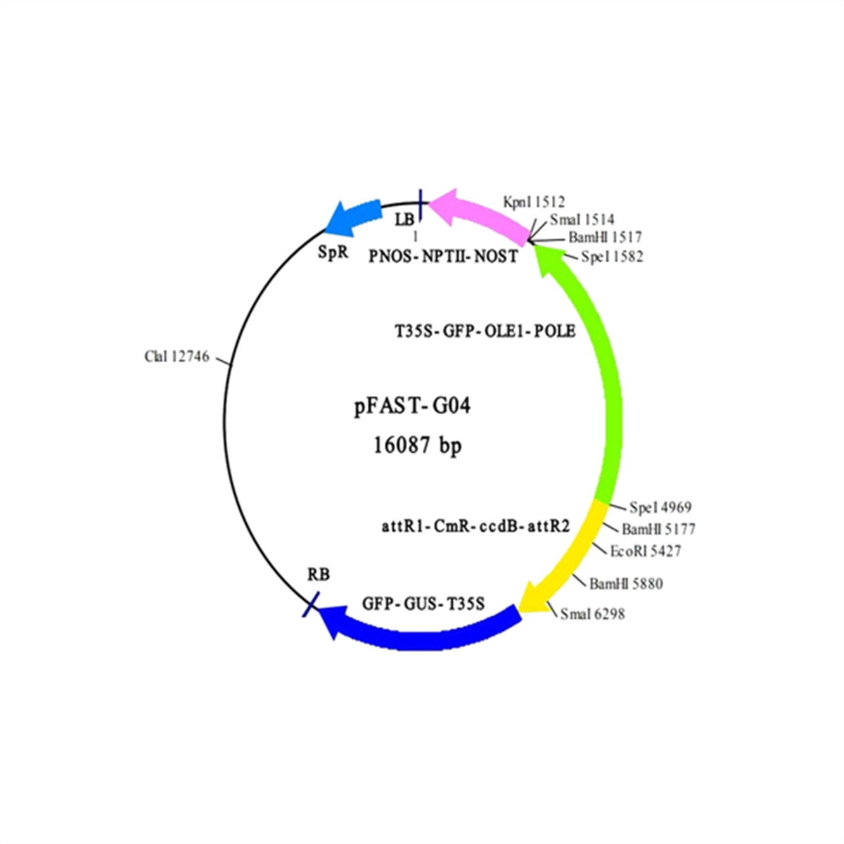 /Content/Upload/Product/in3-vec34_1200_1200.png