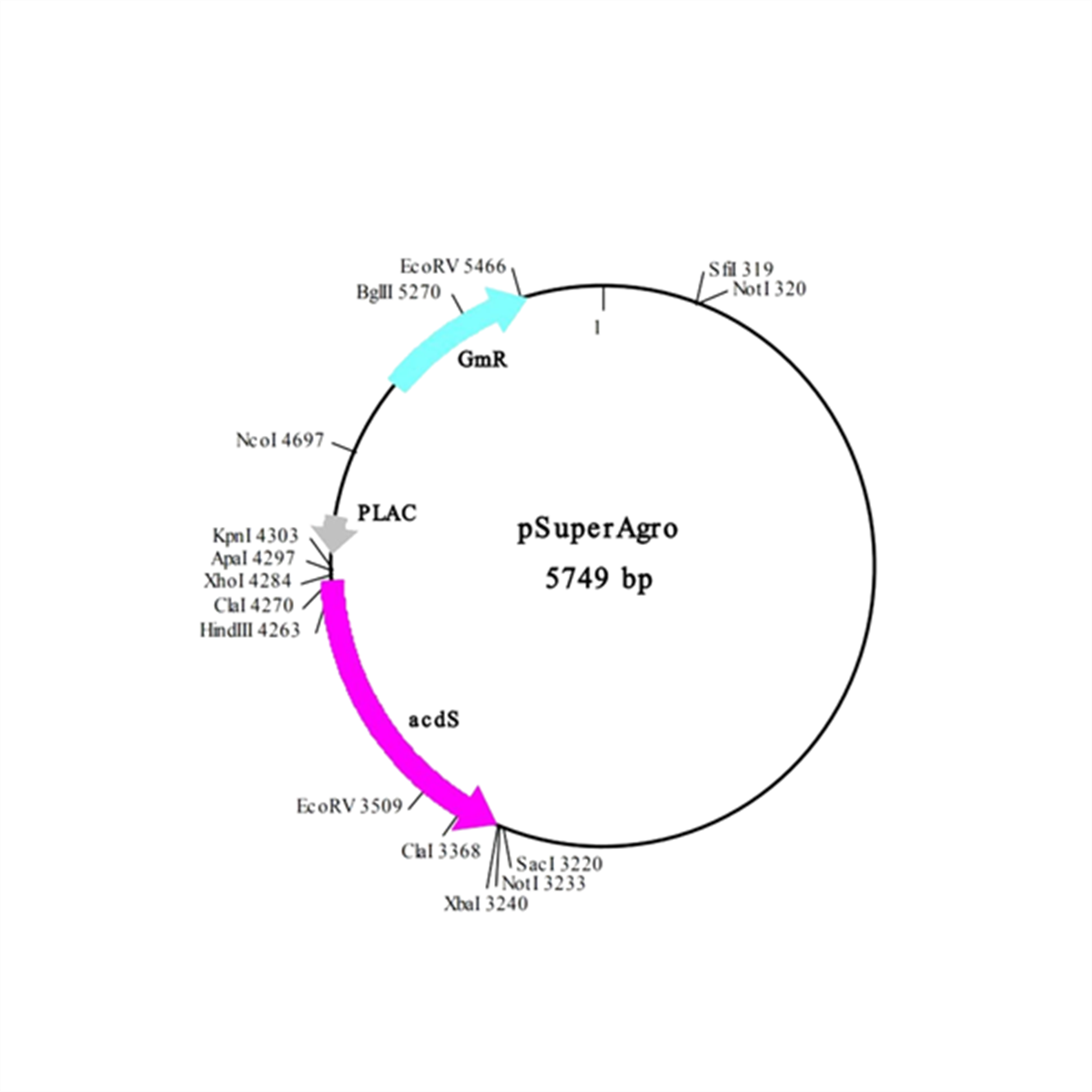 /Content/Upload/Product/in3vec101_fig1_1200_1200_1200.png