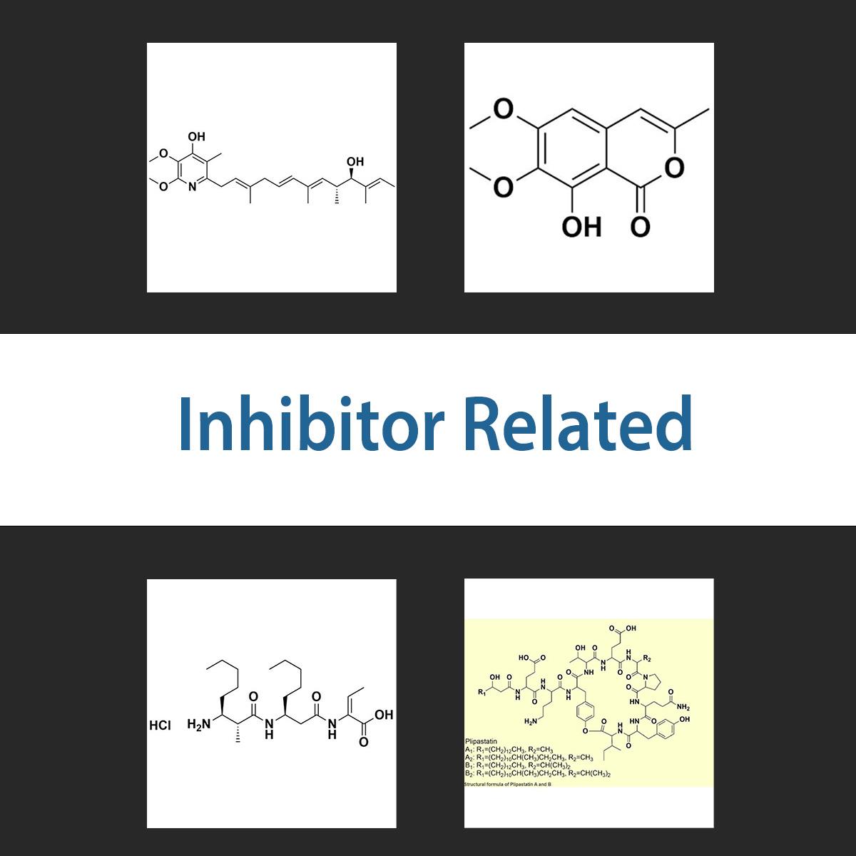 /Content/Upload/Product/inhibitorrelated_1200.jpg