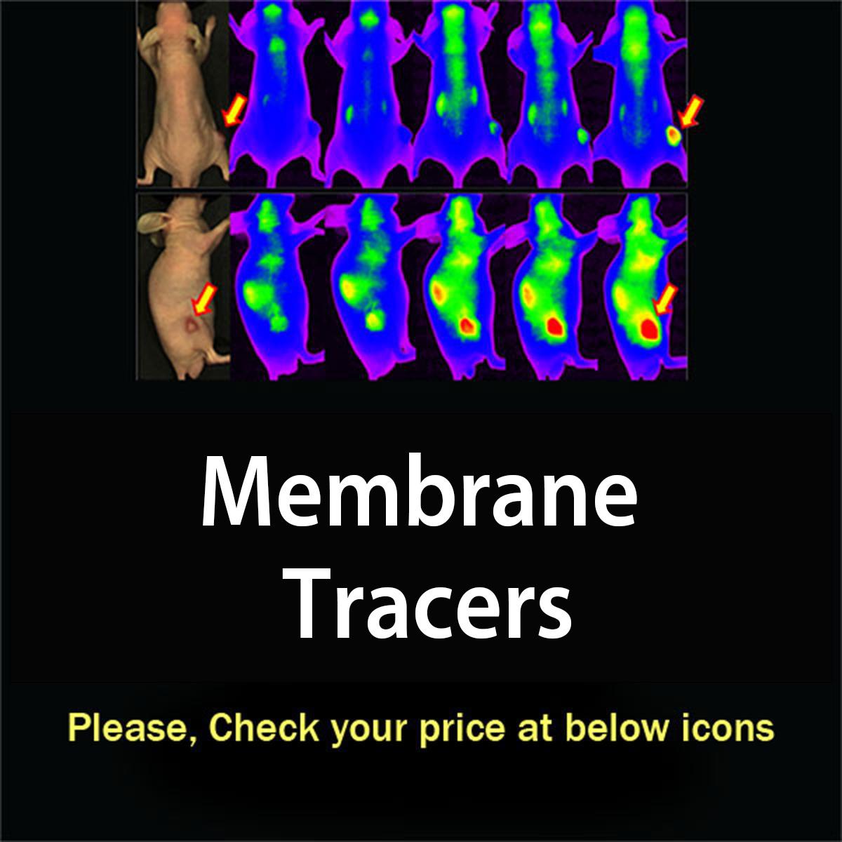 /Content/Upload/Product/membrabcetracers_1200.jpg