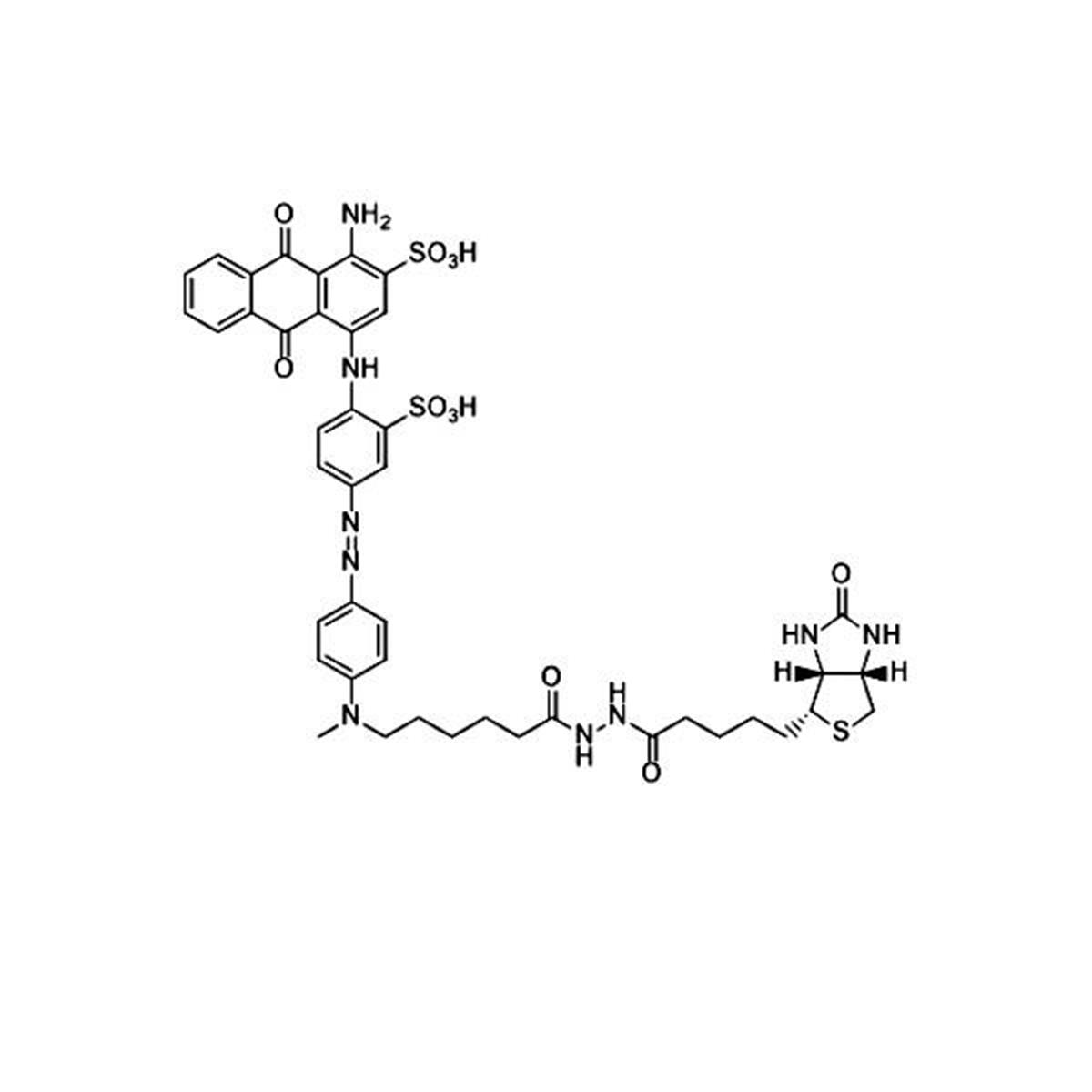 /Content/Upload/Product/qFlammaBlack01Biotin_diagnocine_1200.jpg