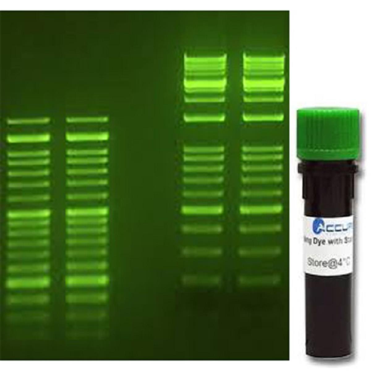 /Content/Upload/Product/smartglow_w600_diagnocine_1200_1200_1.jpg