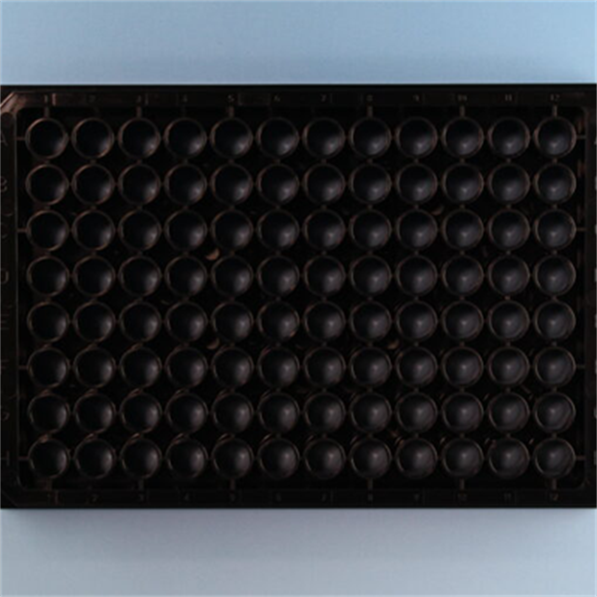 /Content/Upload/Product/sokonashi_micro_plate-11-600_1200_1_1200.png