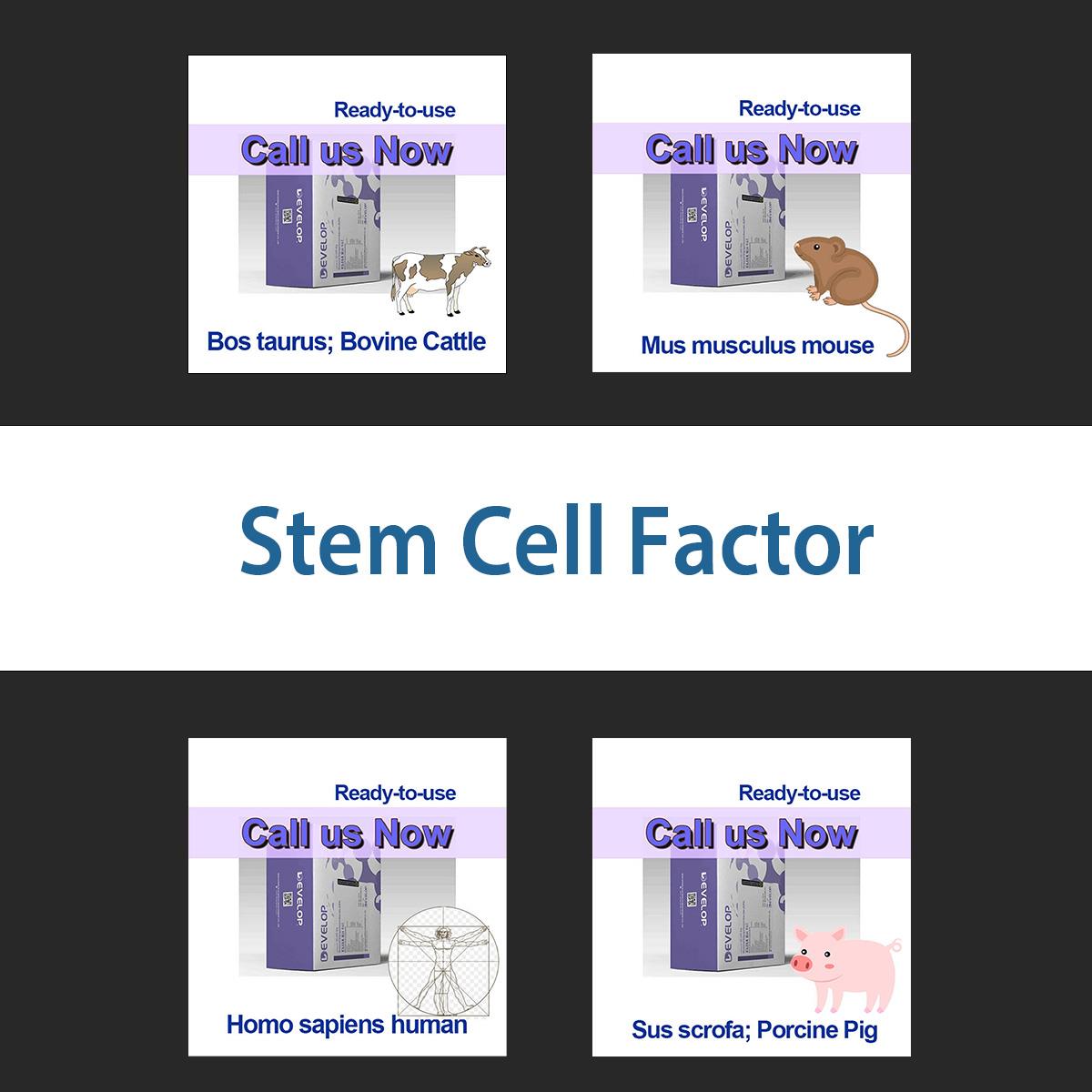 /Content/Upload/Product/stemcellfactor_1200.jpg