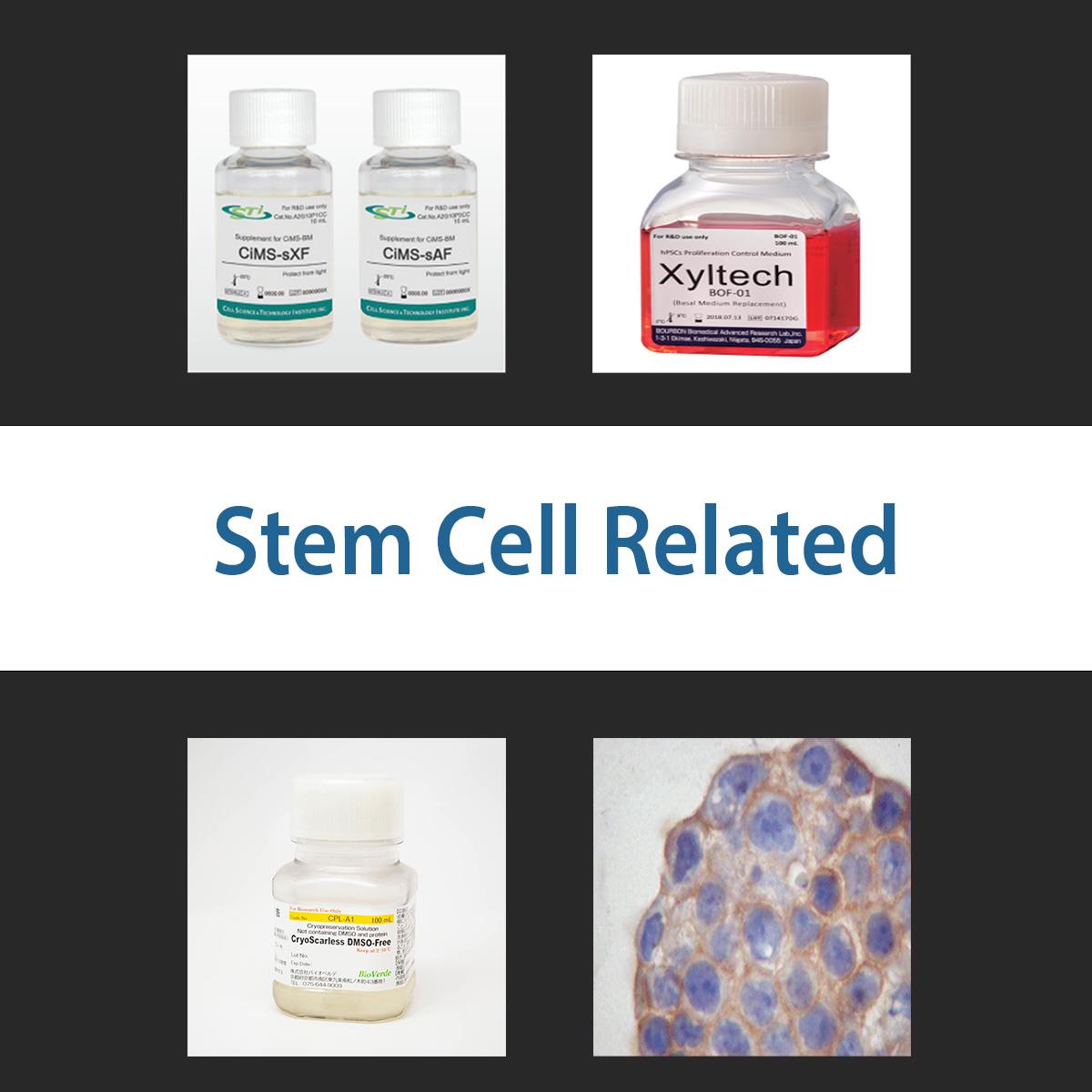 /Content/Upload/Product/stemcellrelated_1200.jpg