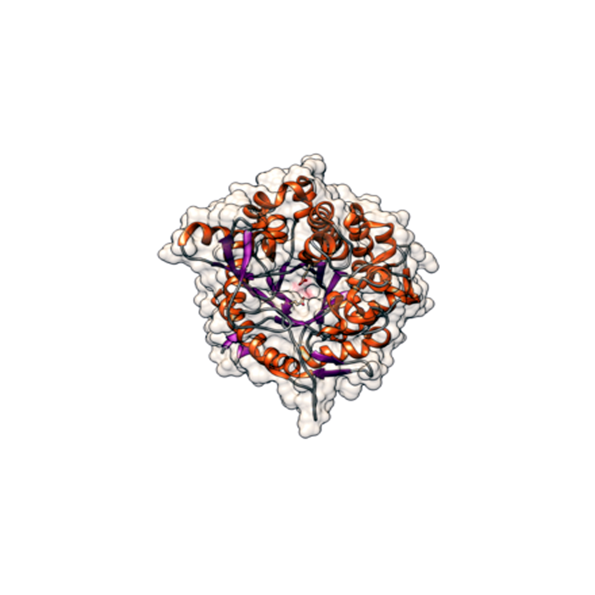 /Content/Upload/Product/thermostable_1200_6.png